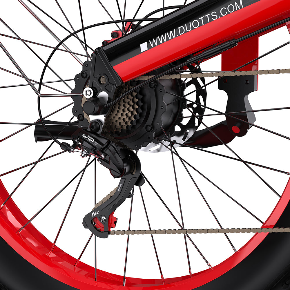 DUOTTS N26 750*2 Electric Bike With Throttle