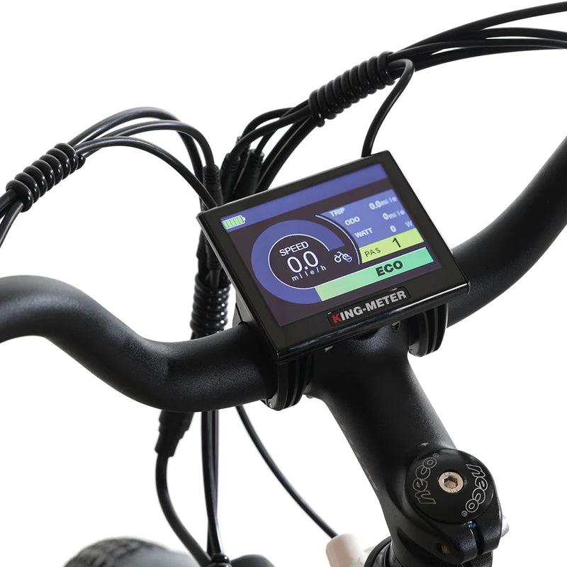 Vélo électrique TOTEM Ranger 750W