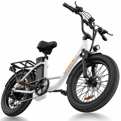 URLIFE E20 electric bike image 12, product details and views