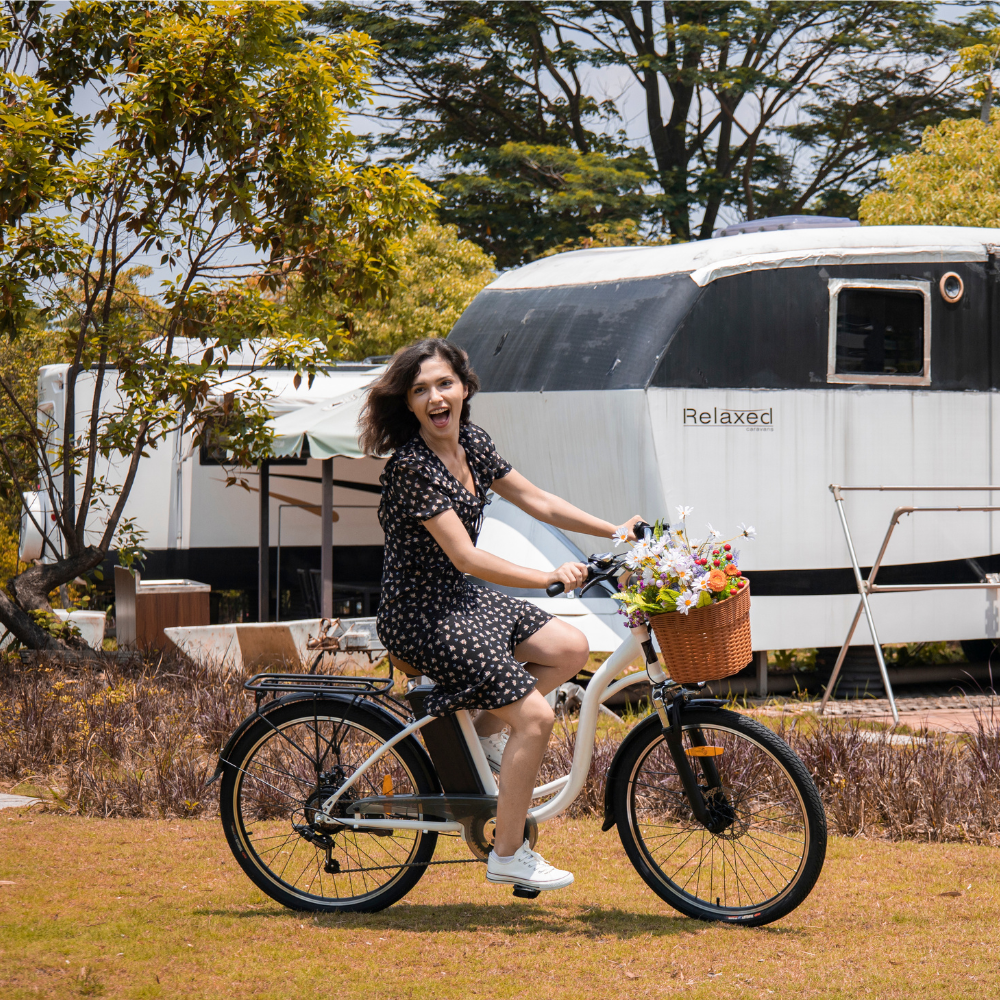 DYU C6 350W 26 Inch Elektrische Stadsfiets