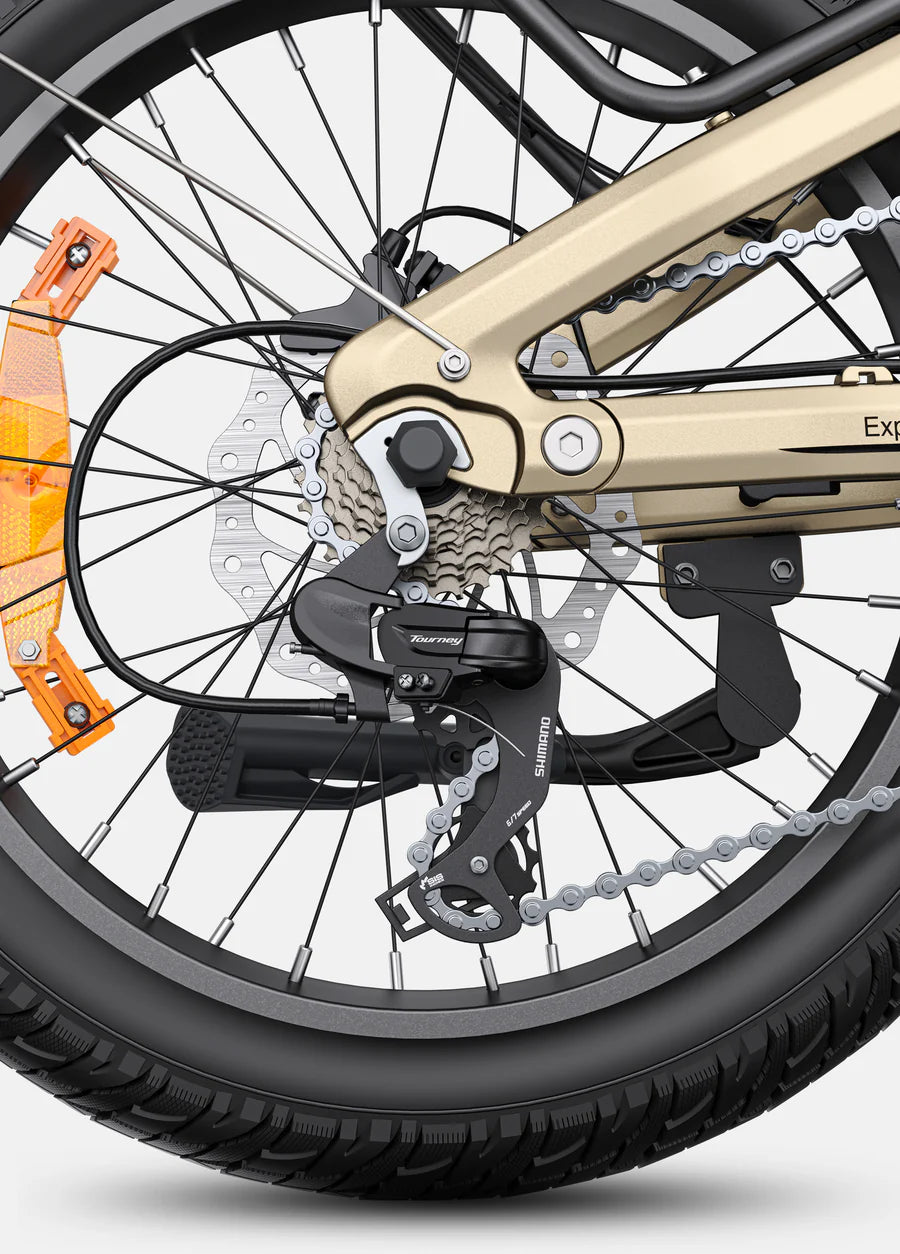 ENGWE L20 Boost Step-Thru E-Bike