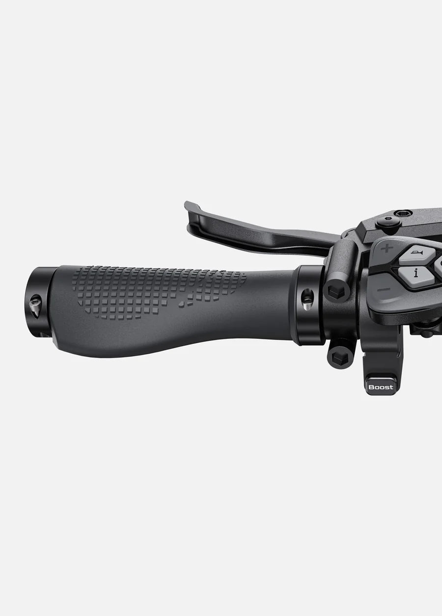 ENGWE L20 Boost Step-Thru E-Bike