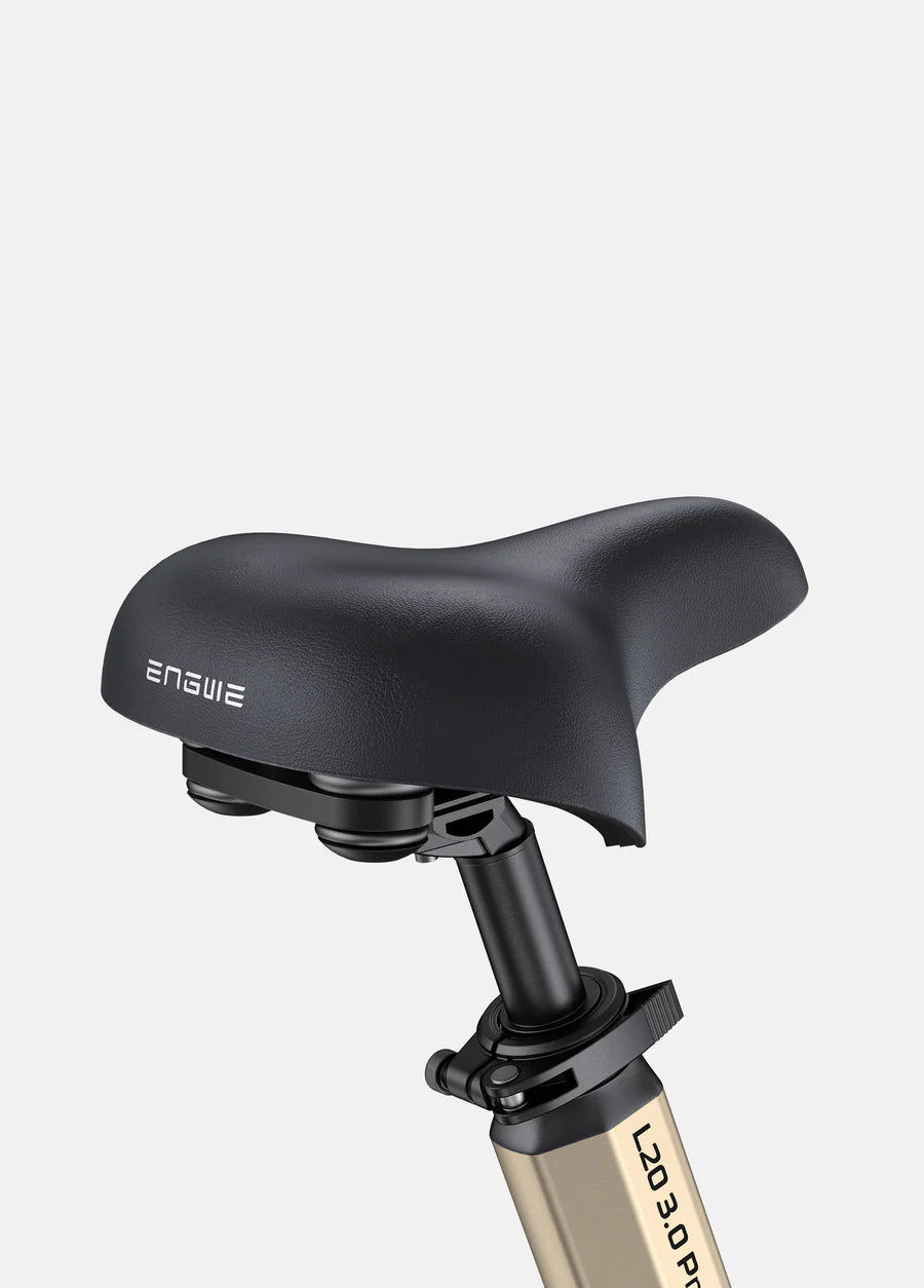 ENGWE L20 Boost Step-Thru E-Bike