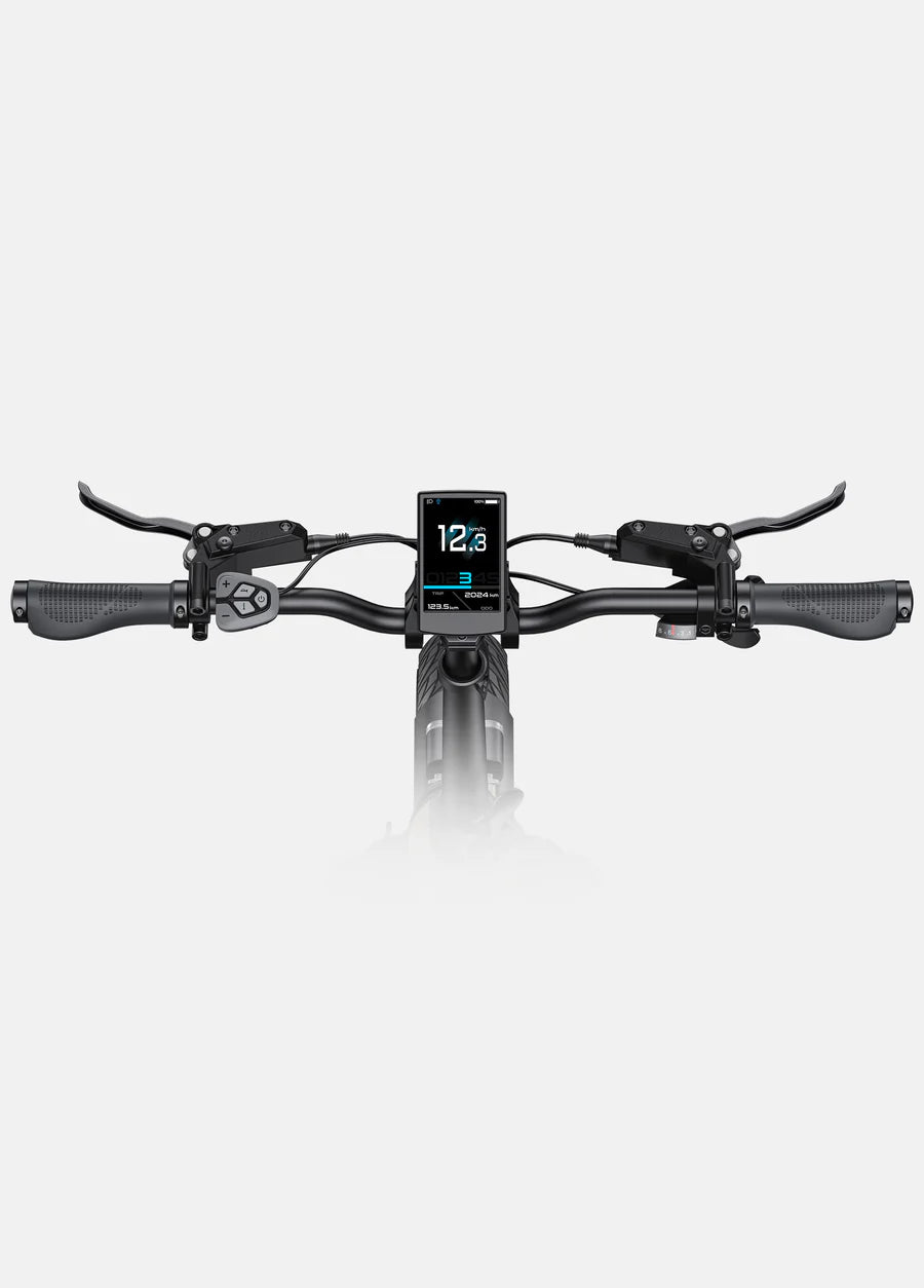 ENGWE L20 Boost Step-Thru E-Bike