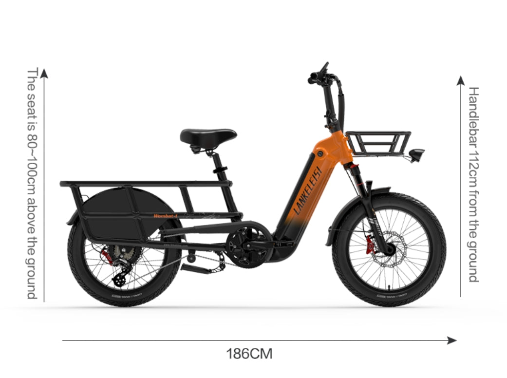 LANKELEISI Wombat-1 Smart Heavy-Duty Electric Bike