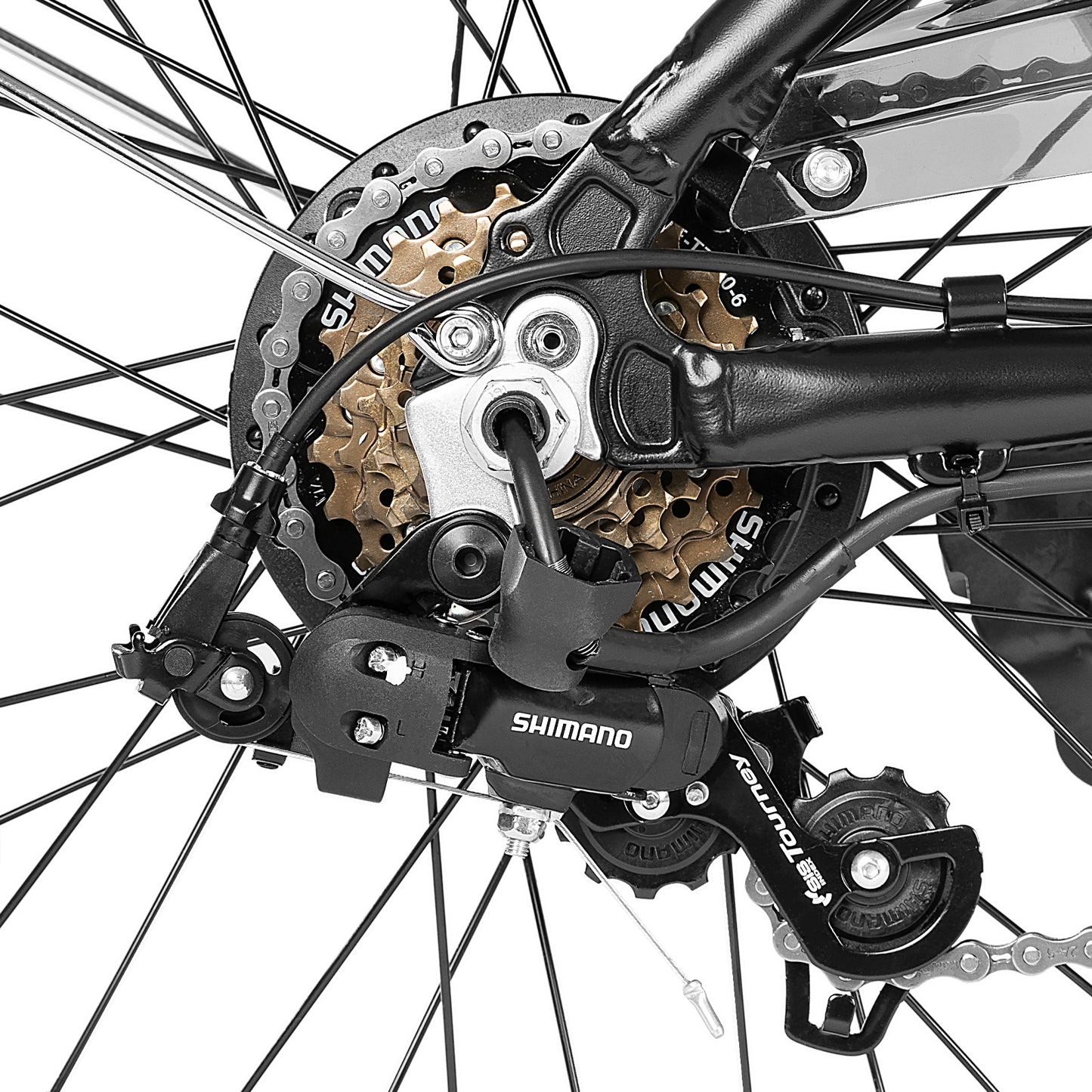 HILAND Ostrich 250W Vélo Électrique