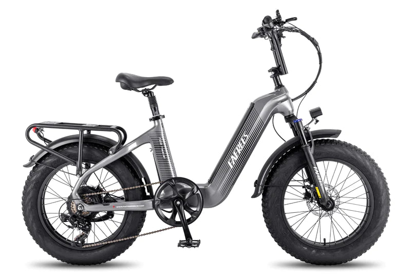 Vélo électrique FAFREES F20 Master 500 W (en continu) 690 W (en crête)