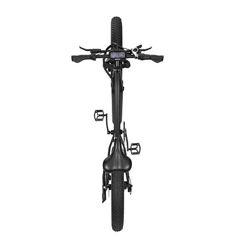 Bicicletta elettrica da montagna DYU KING 750 750W