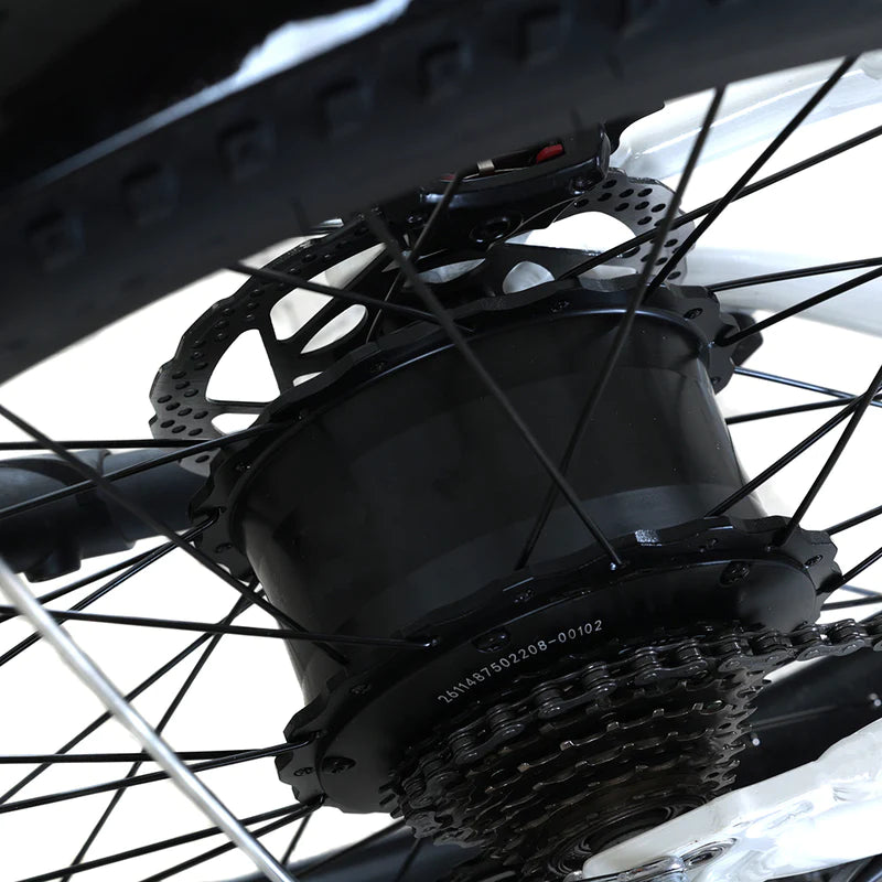 Vélo électrique TOTEM Ranger 750W