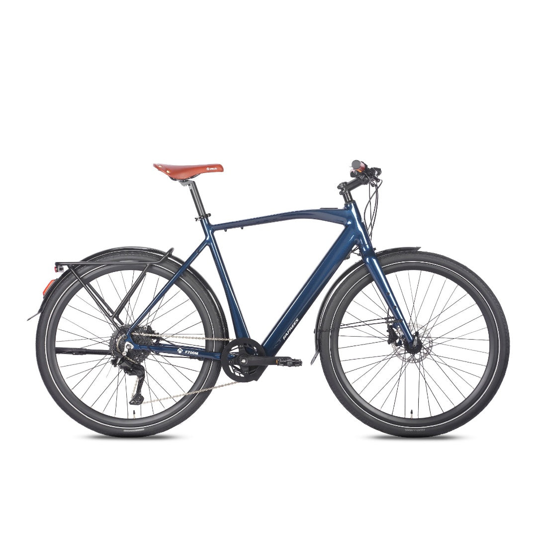 FAFREES F100 250W Elektrische Mountainbike