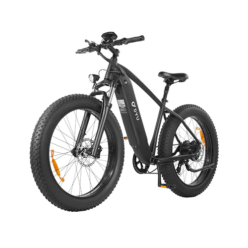 Bicicletta elettrica da montagna DYU KING 750 750W