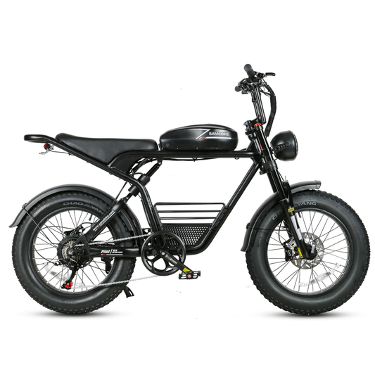 SAMEBIKE M20 1000W Electric Motorcycle
