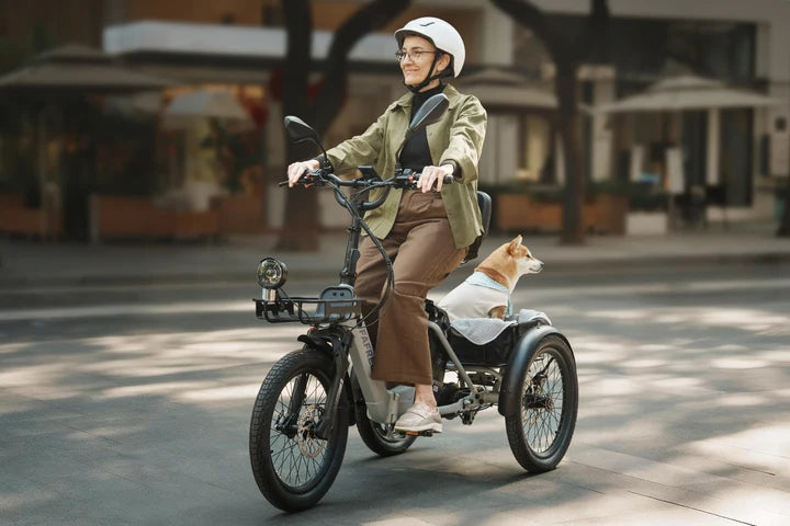 FAFREES F20 Mate II 250W Electric Tricycle