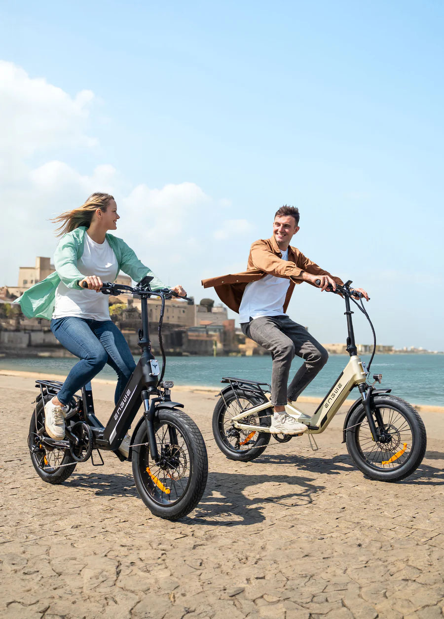 ENGWE L20 Boost Step-Thru E-Bike
