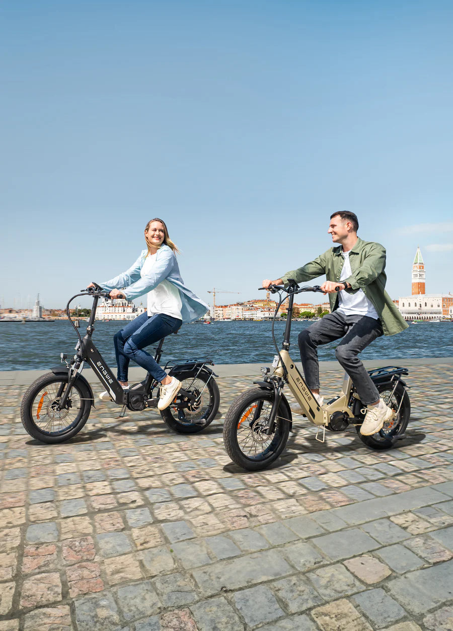 ENGWE L20 Boost Step-Thru E-Bike