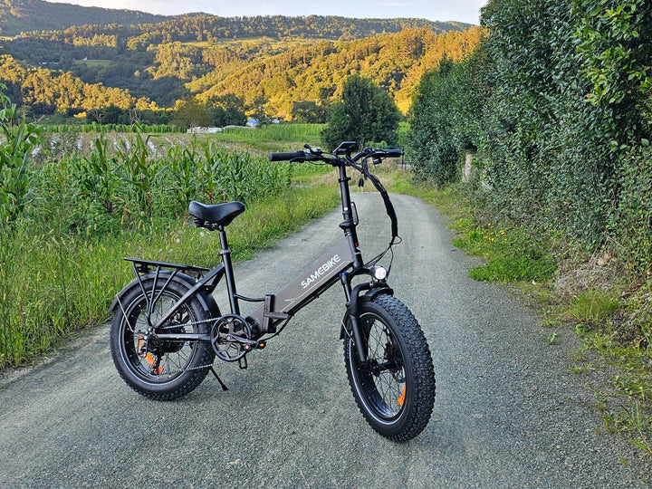 SAMEBIKE LOTDM200-II Bicicleta Elétrica de Montanha com Pneus Grossos