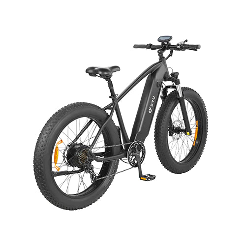 Bicicletta elettrica da montagna DYU KING 750 750W