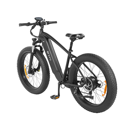 Bicicletta elettrica da montagna DYU KING 750 750W