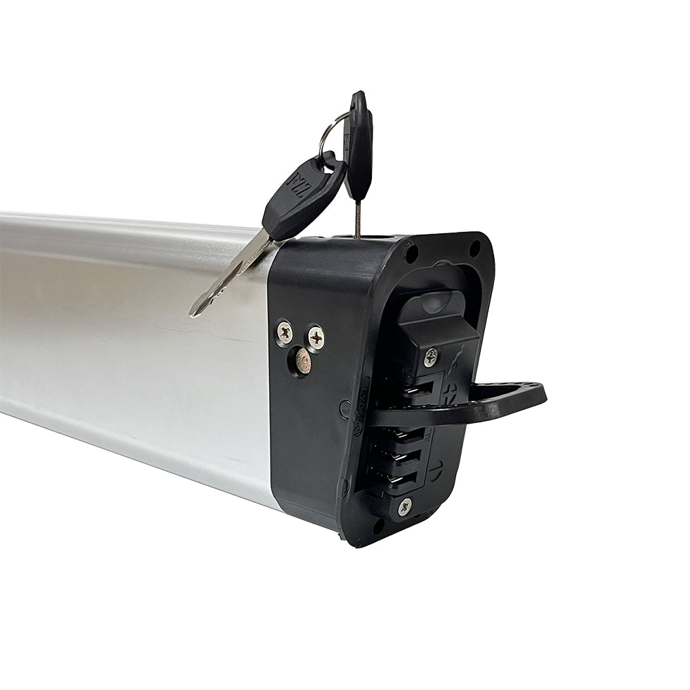 Samsung 50E Batterie 48V 10AH für DrVetion BT20
