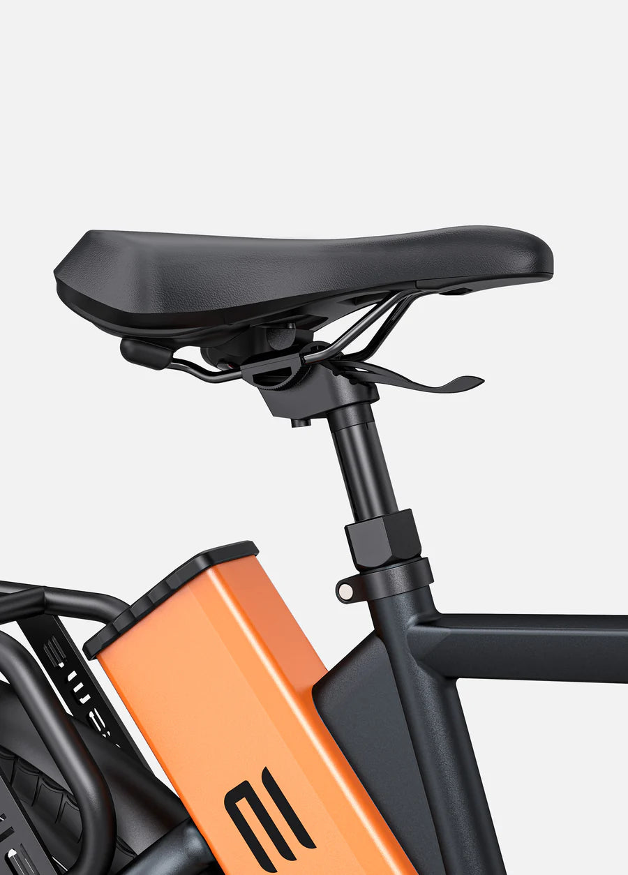 ENGWE P275 Pro 250W 260km Mid-drive Motor Commuting E-bike