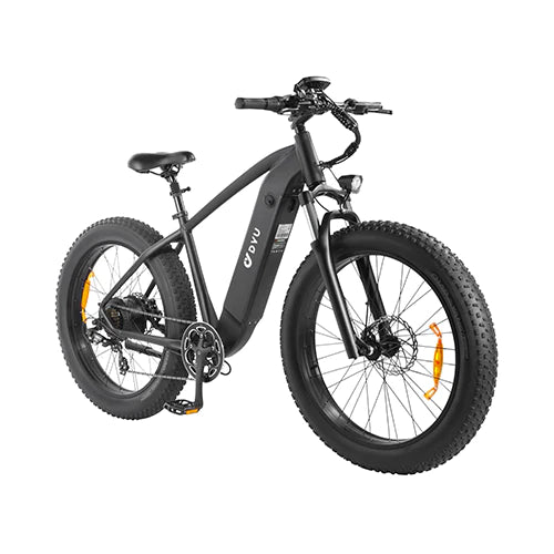 Bicicletta elettrica da montagna DYU KING 750 750W