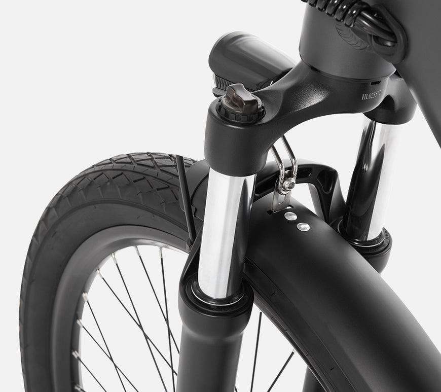 DYU C1 Large Wheel City Electric Bike