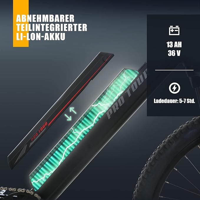 ProTour M920 250W elektrische fiets