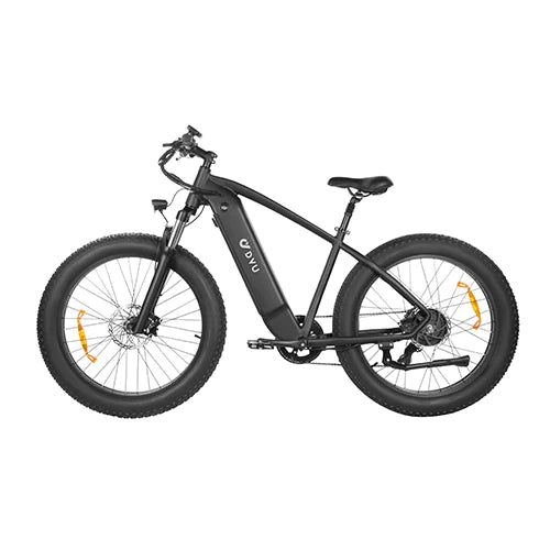 Bicicletta elettrica da montagna DYU KING 750 750W