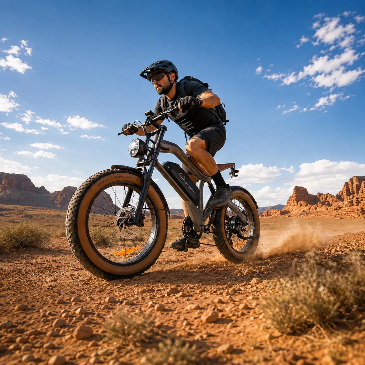 DYU M20 All-Terrain Long-Range Electric Bike