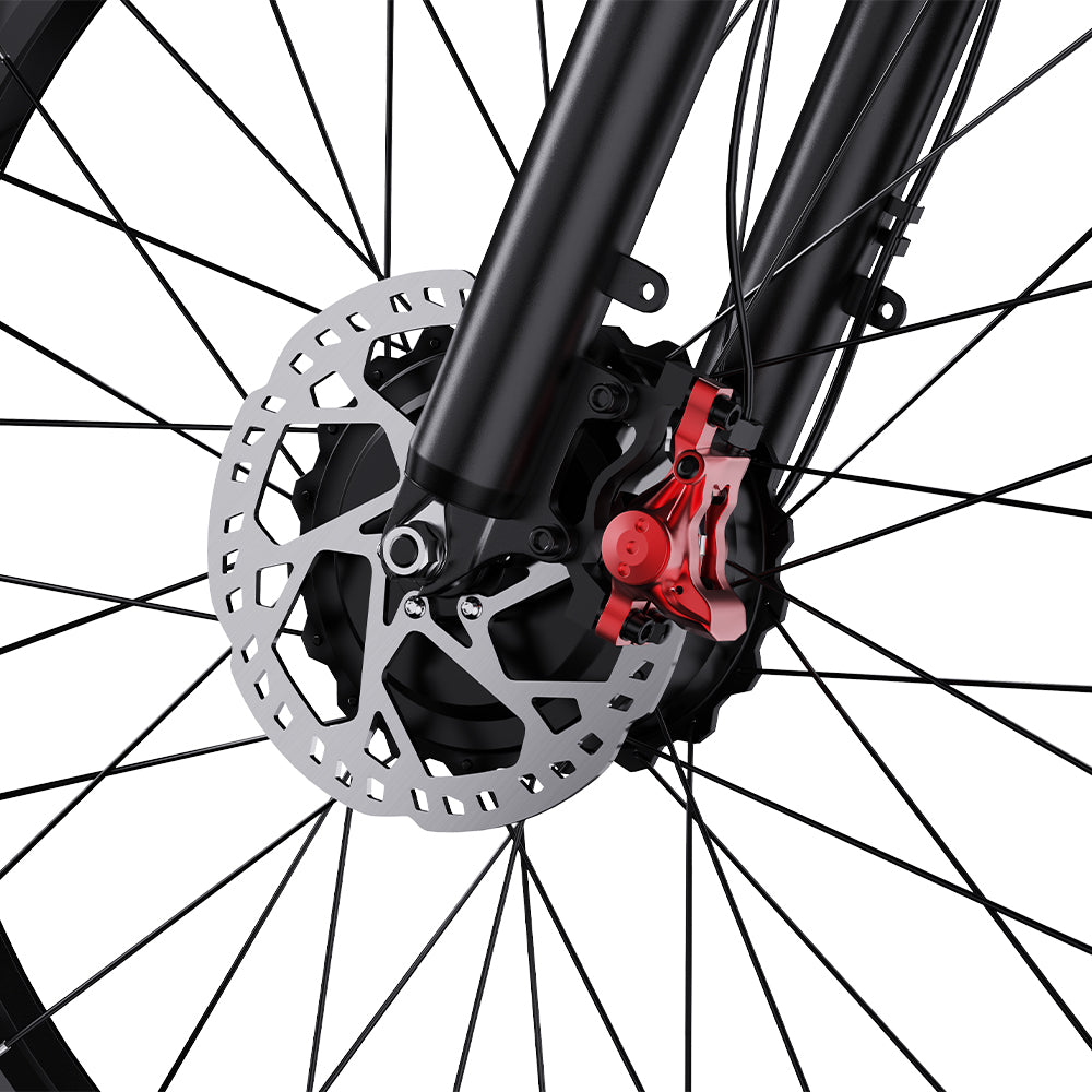 DUOTTS SVélo électrique 26 pouces 750 W x 2