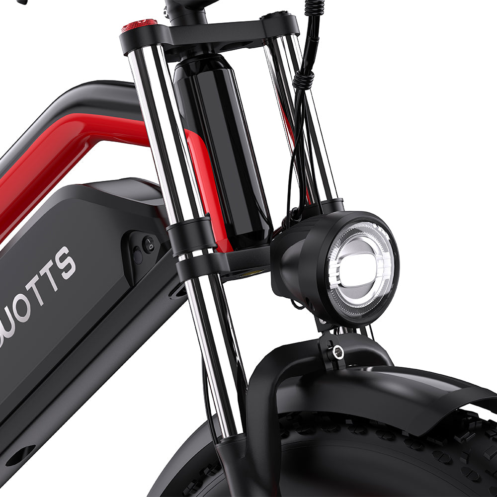 DUOTTS N26 750*2 Electric Bike With Throttle