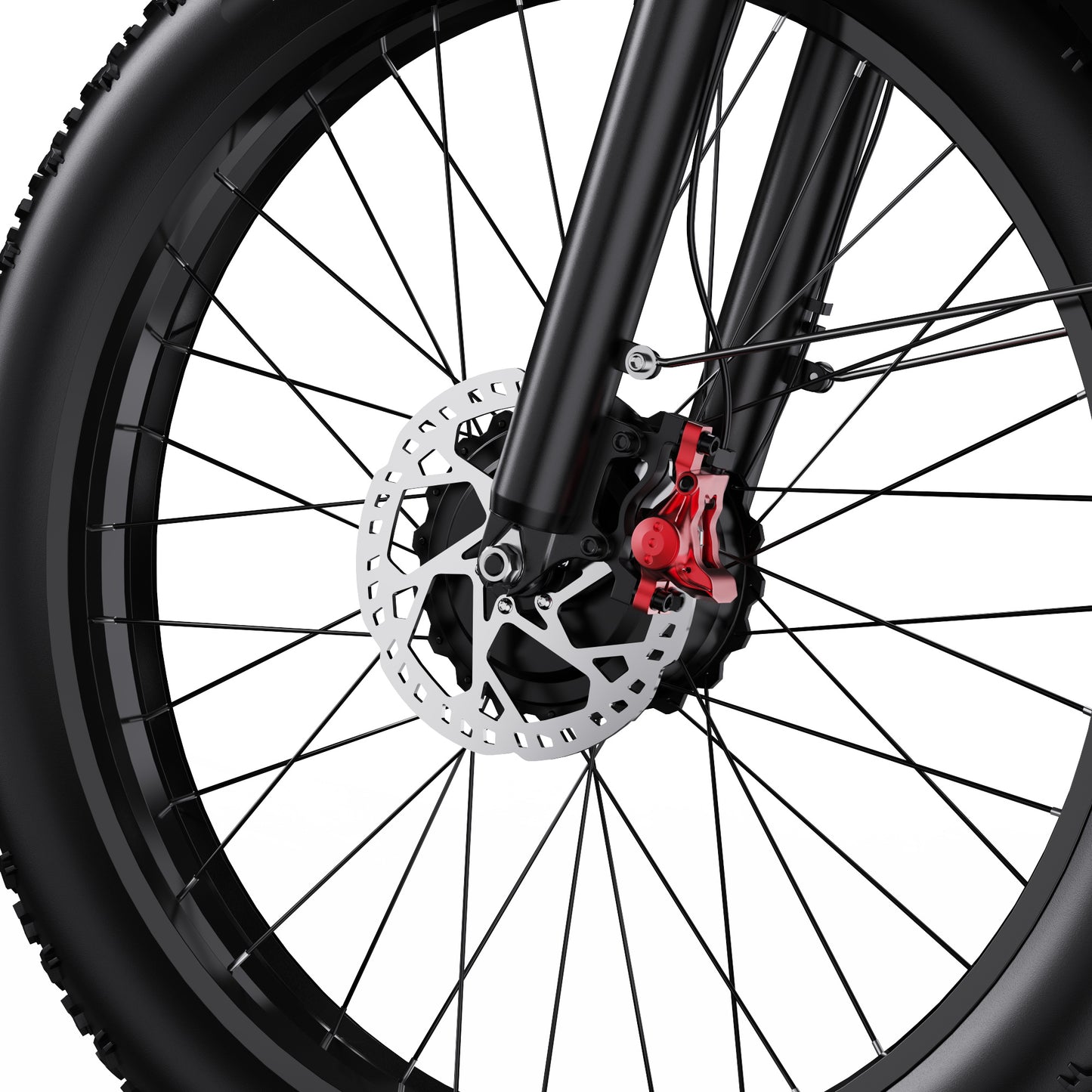 DUOTTS F26 750W*2 Electric Bike