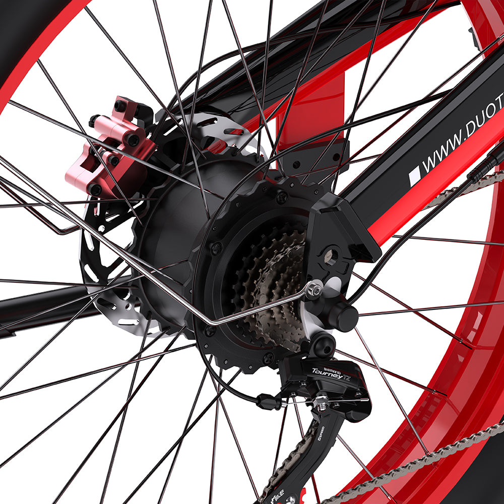 DUOTTS N26 750*2 Electric Bike With Throttle