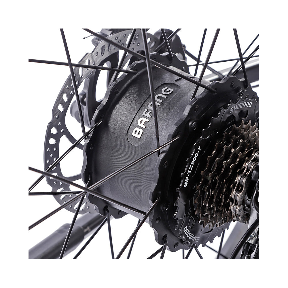 JOBOBIKE Robin Step-thru Hub Motor City Elektro fahrrad