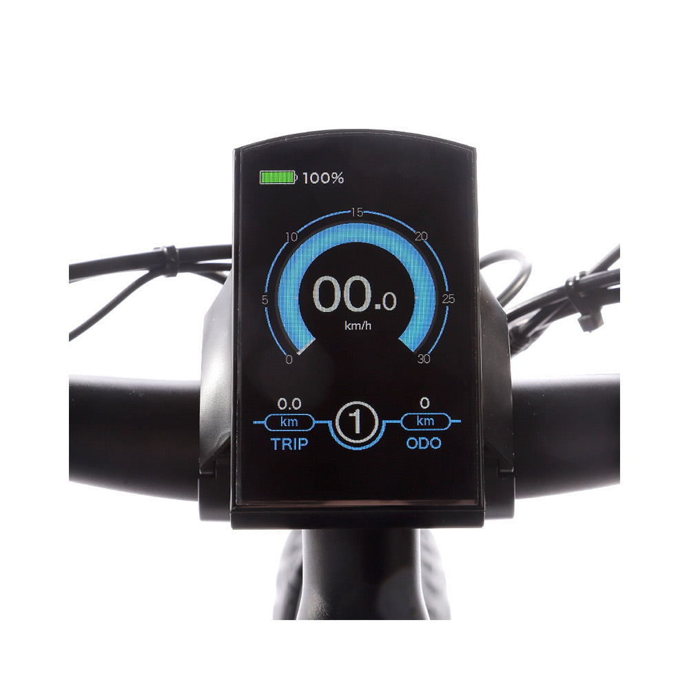 JOBOBIKE Robin Step-thru Hub Motor City Elektro fahrrad