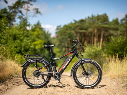 JOBOBIKE Robin Step-thru Hub Motor City Elektro fahrrad