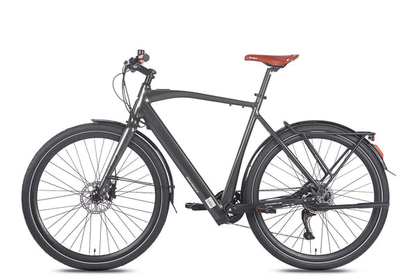 FAFREES F100 250W Elektrische Mountainbike