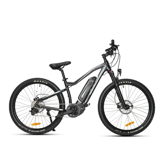 JOBOBIKE Bruno 250W Electric Bicycle