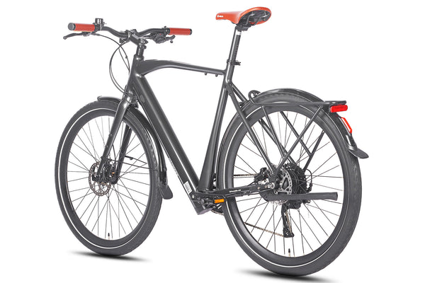 FAFREES F100 250W Elektrische Mountainbike