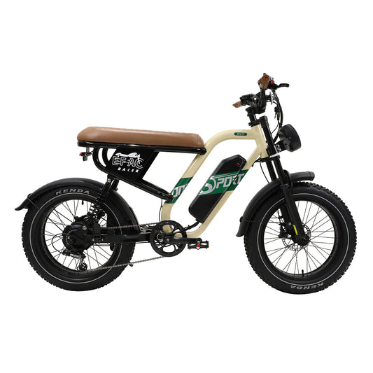 Onesport W66 Vintage Fat Tire 500W Motor Electric Bike