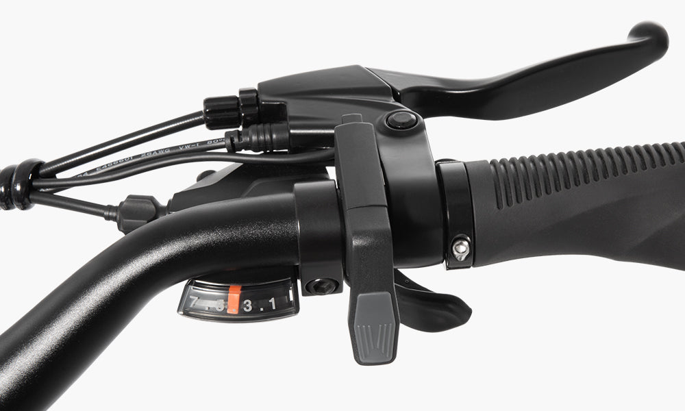 DYU C1 Large Wheel City Electric Bike