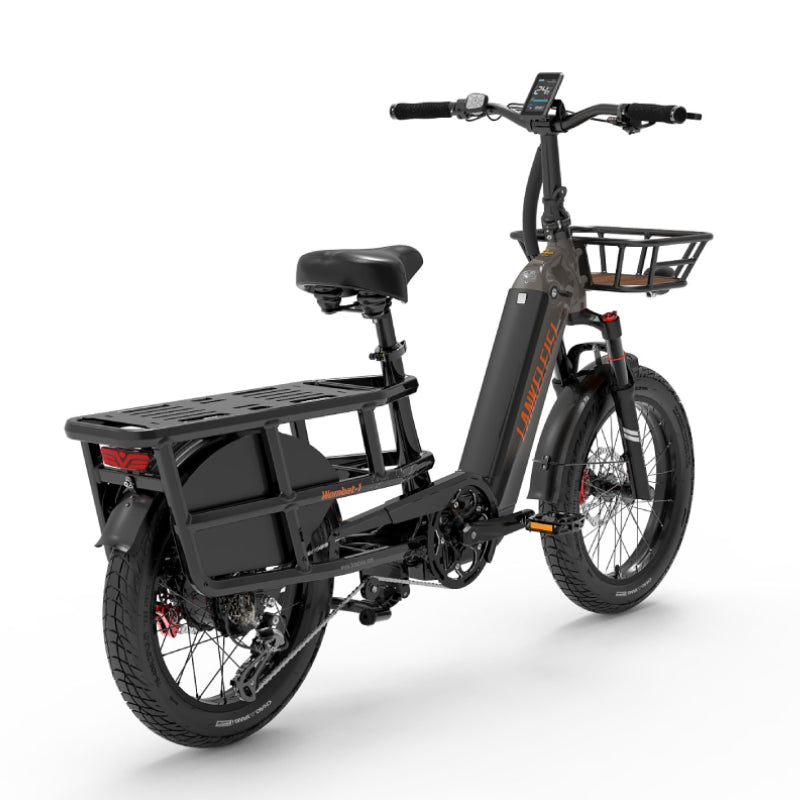 LANKELEISI Wombat-1 Smart Heavy-Duty Electric Bike