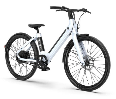 YEEP Birdbike V Telaio Bicicletta Elettrica 500W