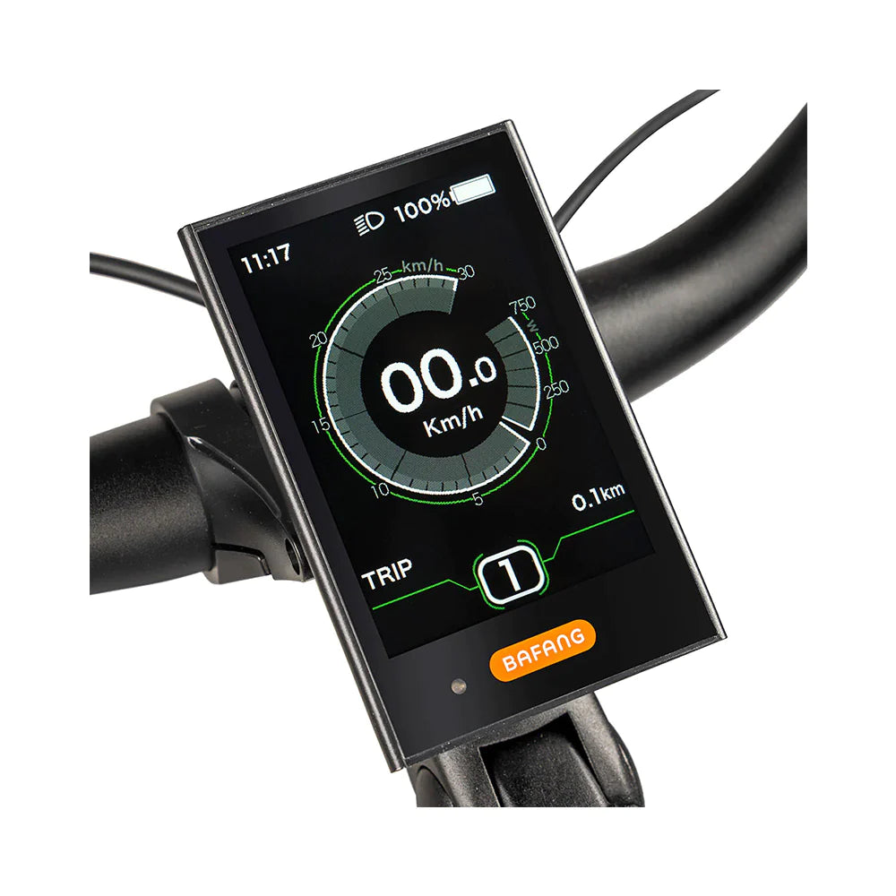 JOBOBIKE Linda 250W City Elektrofahrrad