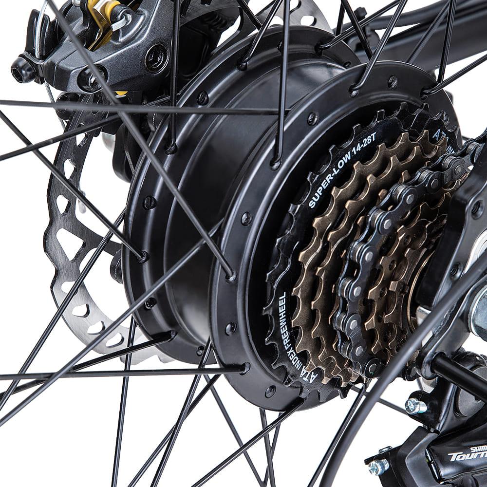 FAFREES 26 Hailong One 250W Elektrische Mountainbike