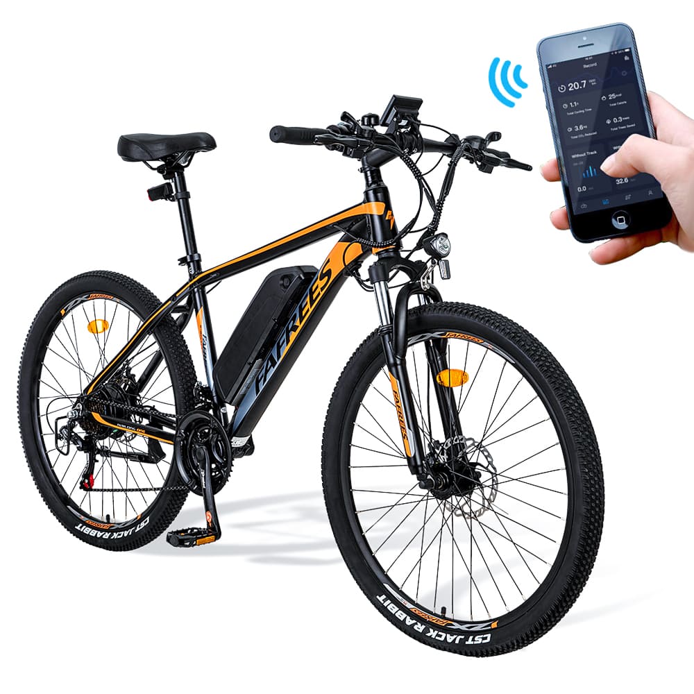 FAFREES 26 Hailong One 250W Elektrische Mountainbike