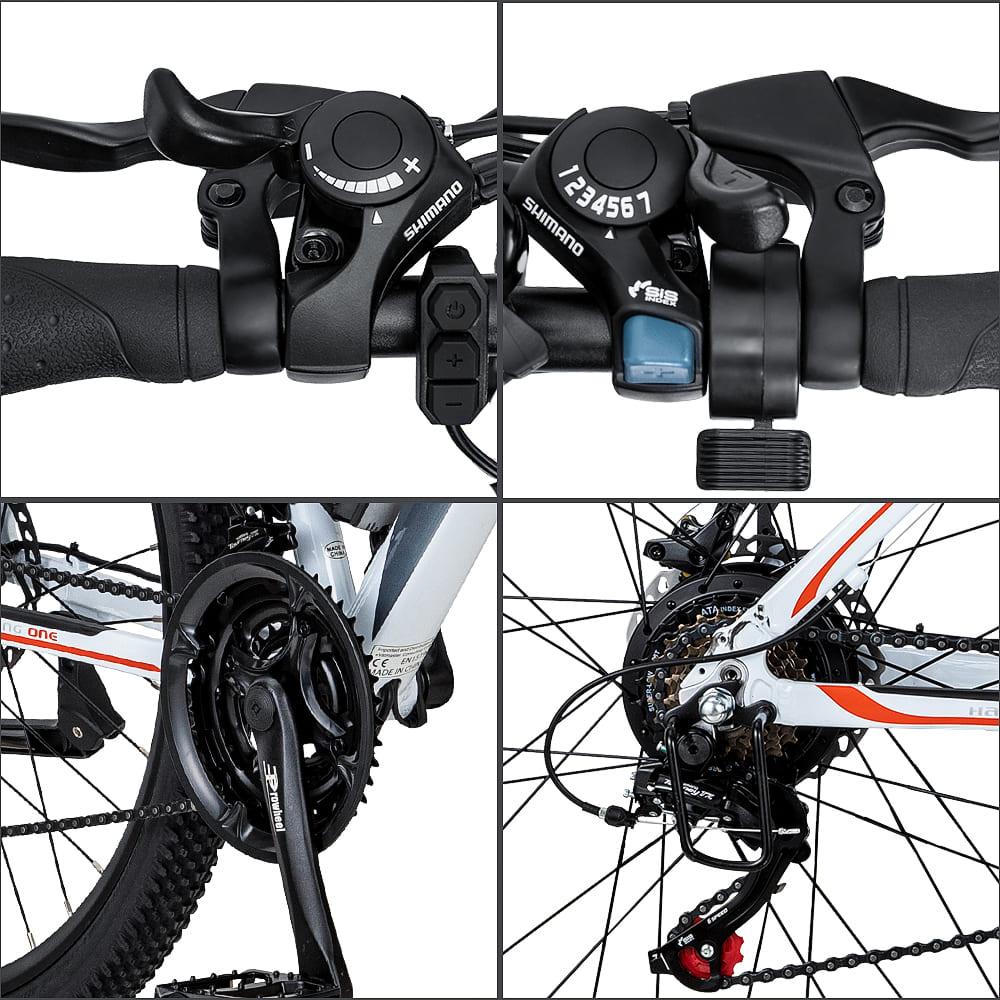 FAFREES 26 Hailong One 250W Elektrische Mountainbike