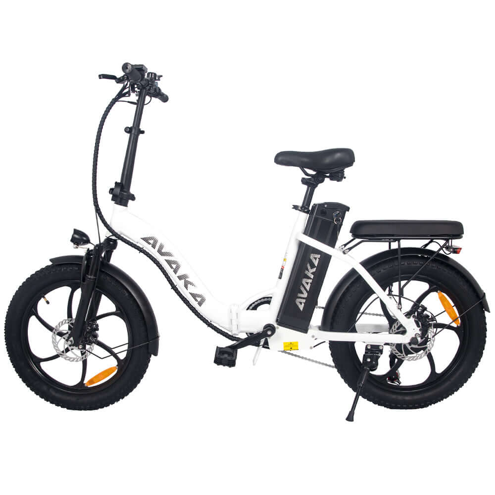 AVAKA BZ20 Plus Opvouwbare Stads Elektrische Fiets