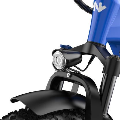 SAMEBIKE RS-A01 Plus 750W Elektrische Stadsfiets