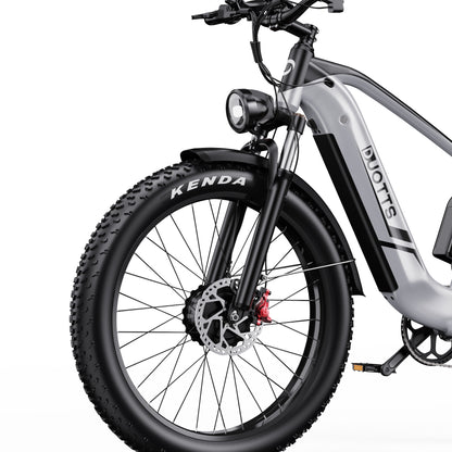 DUOTTS F26 750W*2 Electric Bike